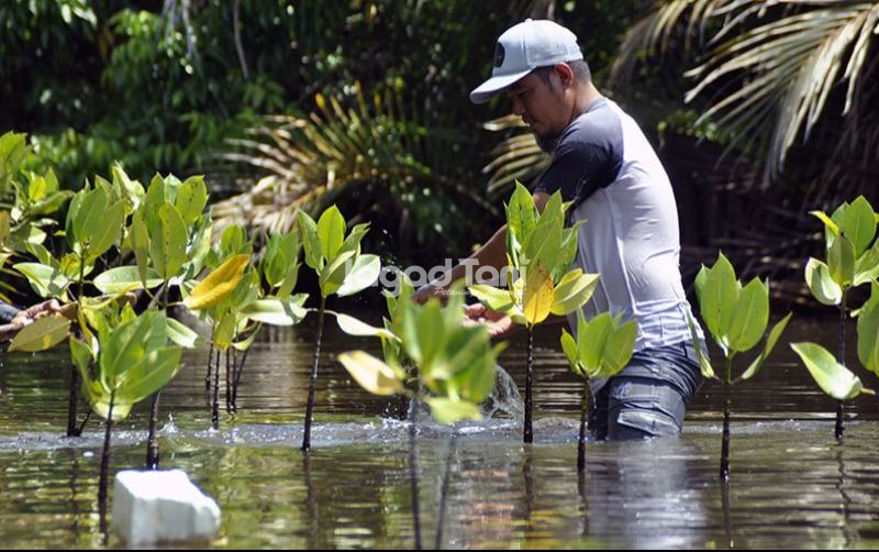 uploads/news/2026/10/apotek-hidup-tersembunyi-di-89853ae3b6e6ed8.jpg
