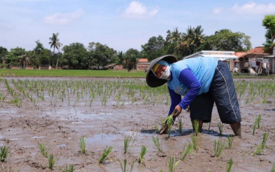 uploads/news/2026/10/atasi-kekeringan-tiga-program-94264b5d3bb40b2_400.jpg