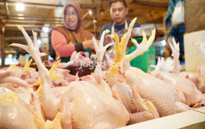 uploads/news/2026/10/daerah-yang-harga-ayam-nya-2601113d2fa800b_400.jpeg