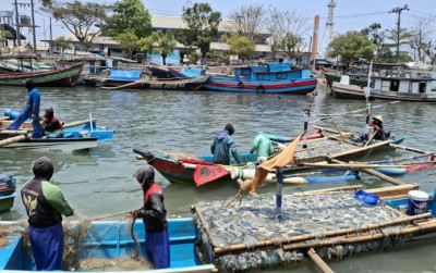 uploads/news/2026/10/fenomena-langka-ubur-ubur-melimpah-892373674a03702_400.jpeg