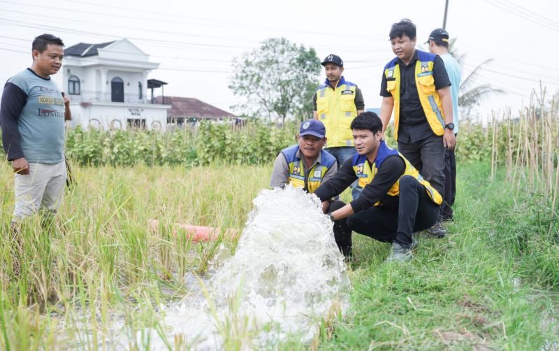 uploads/news/2026/10/hadapi-kekeringan-persawahan-sindang-1752304a48c9fc5.jpg