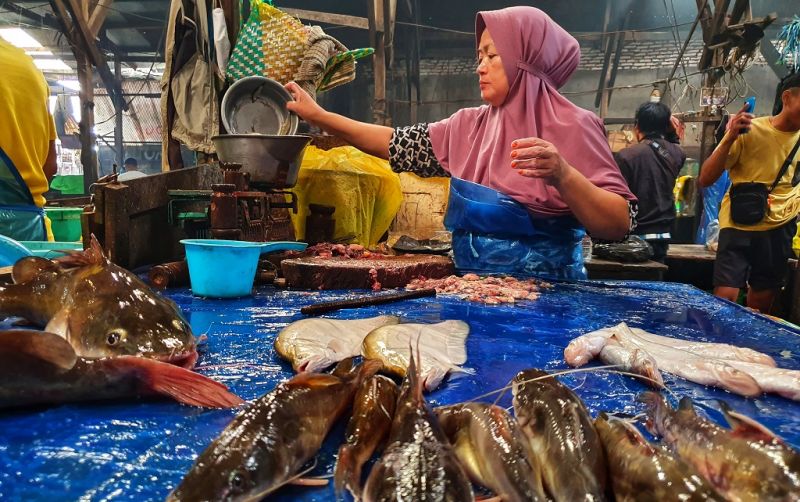 uploads/news/2026/10/harga-ikan-di-palangka-88581336abdc942.jpg