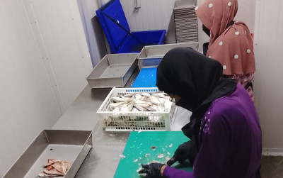 uploads/news/2026/10/ikan-murah-disulap-menjadi-25422aa2eefa46d_400.jpg