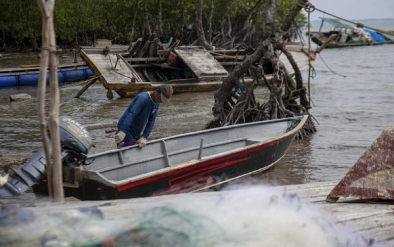 uploads/news/2026/10/ikan-nelayan-rempang-masuk-67083df27ece645.jpg