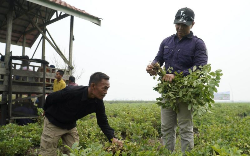 uploads/news/2026/10/kelompok-tani-berkat-setia-2657090523bafe9.jpeg