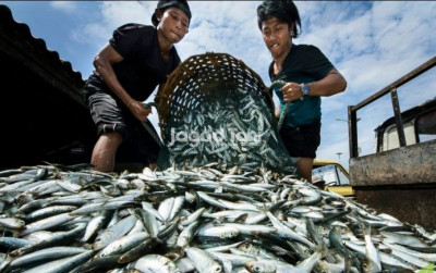 uploads/news/2026/10/kemarau-akibatkan-budi-daya-276472b5d273ecc_400.jpg