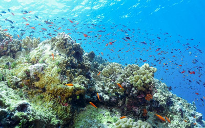 uploads/news/2026/10/kepulauan-lucipara-bakal-disiapkan-76974af055bad73_400.jpg