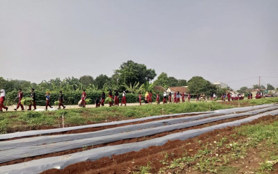 uploads/news/2026/10/lahan-pangan-bomang-jadi-36272a68167c7ec_400.jpg
