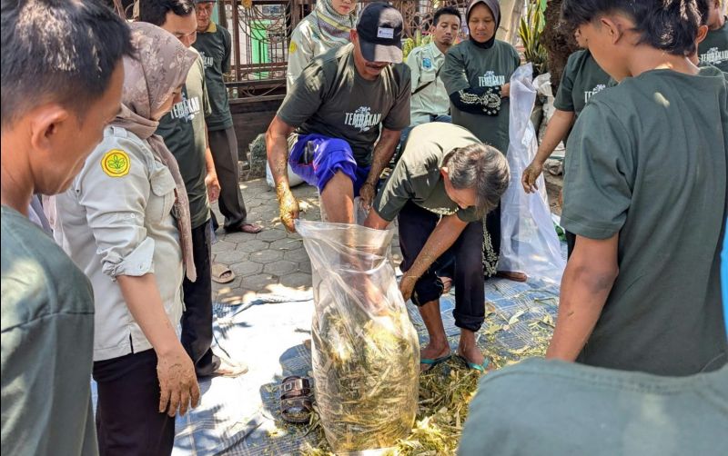 uploads/news/2026/10/pemanfaatan-tembakau-pascapanen-menjadi-16350018d7d74d5.jpeg