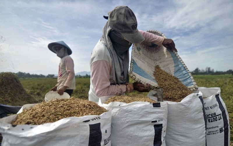 uploads/news/2026/10/penyerapan-beras-gabah-karawang-capai-37605bcfa9ec4eb.jpg