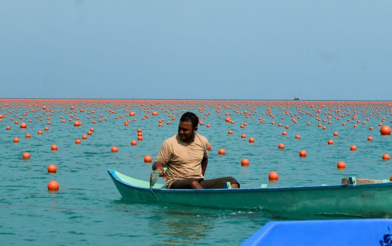 uploads/news/2026/10/program-rumput-laut-desa-354712b1db0bbc3.jpeg