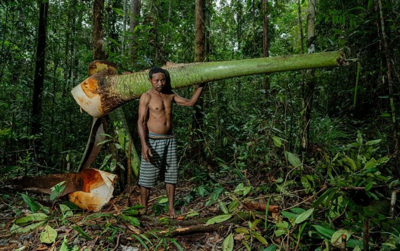 uploads/news/2026/10/proses-pengakuan-hutan-adat-75783c62fe7d0a3.jpeg