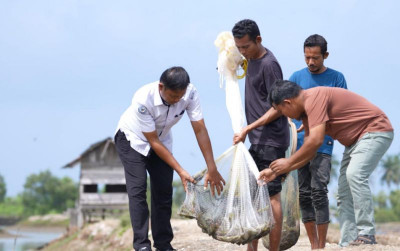 uploads/news/2026/10/sektor-perikanan-aceh-sumbar-sumut-pascabencana-66348e8aa4a29e7_400.jpg