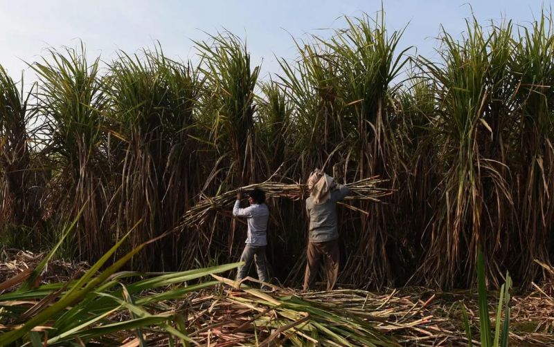 uploads/news/2026/10/strategi-menghadapi-cuaca-tak-635470a0e9d8308.jpg
