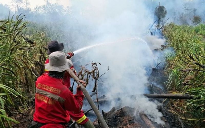 uploads/news/2026/10/sumatra-selatan-jadi-titik-5496315670cdfad.jpg